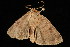  ( - 04HBL005479)  @12 [ ] CreativeCommons - Attribution (2010) Unspecified Centre for Biodiversity Genomics