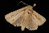  ( - 04HBL005496)  @13 [ ] CreativeCommons - Attribution (2010) Unspecified Centre for Biodiversity Genomics