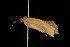  ( - 04HBL005568)  @13 [ ] CreativeCommons - Attribution (2010) Unspecified Centre for Biodiversity Genomics
