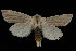  ( - 04HBL006153)  @14 [ ] CreativeCommons - Attribution (2010) Unspecified Centre for Biodiversity Genomics