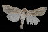  ( - 04HBL006154)  @14 [ ] CreativeCommons - Attribution (2010) Unspecified Centre for Biodiversity Genomics