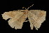  ( - 04HBL006165)  @13 [ ] CreativeCommons - Attribution (2010) Unspecified Centre for Biodiversity Genomics