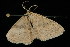  ( - 04HBL006173)  @13 [ ] CreativeCommons - Attribution (2010) Unspecified Centre for Biodiversity Genomics