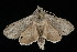  ( - 04HBL006184)  @12 [ ] CreativeCommons - Attribution (2010) Unspecified Centre for Biodiversity Genomics