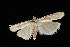  ( - 04HBL006213)  @14 [ ] CreativeCommons - Attribution (2010) Unspecified Centre for Biodiversity Genomics