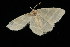  ( - 04HBL006215)  @12 [ ] CreativeCommons - Attribution (2010) Unspecified Centre for Biodiversity Genomics