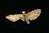  ( - 04HBL006219)  @13 [ ] CreativeCommons - Attribution (2010) Unspecified Centre for Biodiversity Genomics