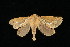  ( - 04HBL006232)  @14 [ ] CreativeCommons - Attribution (2010) Unspecified Centre for Biodiversity Genomics