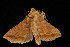  ( - 04HBL006458)  @12 [ ] CreativeCommons - Attribution (2010) Unspecified Centre for Biodiversity Genomics