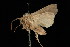  ( - 04HBL006613)  @13 [ ] CreativeCommons - Attribution (2010) Unspecified Centre for Biodiversity Genomics