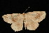  ( - 04HBL006653)  @13 [ ] CreativeCommons - Attribution (2010) Unspecified Centre for Biodiversity Genomics