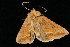  ( - 04HBL006704)  @12 [ ] CreativeCommons - Attribution (2010) Unspecified Centre for Biodiversity Genomics