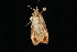  ( - 04HBL006762)  @12 [ ] CreativeCommons - Attribution (2010) Unspecified Centre for Biodiversity Genomics