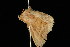  ( - 04HBL006793)  @12 [ ] CreativeCommons - Attribution (2010) Unspecified Centre for Biodiversity Genomics