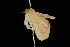  ( - 04HBL006813)  @13 [ ] CreativeCommons - Attribution (2010) Unspecified Centre for Biodiversity Genomics
