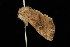  ( - 04HBL006849)  @12 [ ] CreativeCommons - Attribution (2010) Unspecified Centre for Biodiversity Genomics