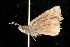  ( - 2005-ONT-547)  @12 [ ] CC-0 (2010) Unspecified Unspecified