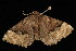  ( - 04HBL006963)  @13 [ ] CreativeCommons - Attribution (2010) Unspecified Centre for Biodiversity Genomics