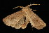  ( - 04HBL007000)  @13 [ ] CreativeCommons - Attribution (2010) Unspecified Centre for Biodiversity Genomics