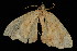  ( - 04HBL007050)  @13 [ ] CreativeCommons - Attribution (2010) Unspecified Centre for Biodiversity Genomics