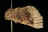  ( - 04HBL007092)  @14 [ ] CreativeCommons - Attribution (2010) Unspecified Centre for Biodiversity Genomics