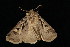  ( - 04HBL007172)  @13 [ ] CreativeCommons - Attribution (2010) Unspecified Centre for Biodiversity Genomics