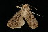  ( - 04HBL007377)  @12 [ ] CreativeCommons - Attribution (2010) Unspecified Centre for Biodiversity Genomics