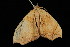  ( - 04HBL007416)  @13 [ ] CreativeCommons - Attribution (2010) Unspecified Centre for Biodiversity Genomics