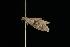  ( - 2005-ONT-16)  @12 [ ] CC-0 (2010) Unspecified Unspecified