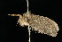  ( - 2005-ONT-22)  @13 [ ] CreativeCommons - Attribution (2010) Unspecified Centre for Biodiversity Genomics