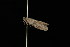  ( - 2005-ONT-36)  @12 [ ] CC-0 (2010) Unspecified Unspecified