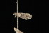  ( - 2005-ONT-281)  @12 [ ] CC-0 (2010) Unspecified Unspecified