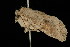  ( - HLC-10250)  @12 [ ] CreativeCommons - Attribution (2010) Unspecified Centre for Biodiversity Genomics