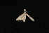  ( - HLC-10404)  @12 [ ] CC-0 (2010) Unspecified Unspecified