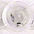  ( - UOG-debu00233788-23)  @11 [ ] Unspecified (default): All Rights Reserved  Unspecified Unspecified
