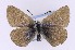  ( - CNCLEP00156192)  @14 [ ] CreativeCommons - Attribution Non-Commercial Share-Alike (2016) Vazrick Nazari Canadian National Collection
