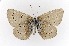  ( - CNCLEP00156194)  @14 [ ] CreativeCommons - Attribution Non-Commercial Share-Alike (2016) Vazrick Nazari Canadian National Collection