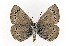  ( - CNCLEP00156200)  @14 [ ] CreativeCommons - Attribution Non-Commercial Share-Alike (2016) Vazrick Nazari Canadian National Collection