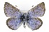  ( - CNCLEP00156231)  @14 [ ] CreativeCommons - Attribution Non-Commercial Share-Alike (2016) Vazrick Nazari Canadian National Collection