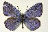  ( - DNAwthGla 002)  @13 [ ] Copyright (2016) Wolfgang Ten Hagen Wolfgang ten Hagen Research Collection