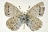  ( - DNAwthGla 002)  @14 [ ] Copyright (2016) Wolfgang Ten Hagen Wolfgang ten Hagen Research Collection