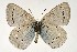  ( - DNAwthGla 003)  @14 [ ] Copyright (2016) Wolfgang Ten Hagen Wolfgang ten Hagen Research Collection
