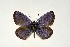  ( - DNAwthGla 007)  @14 [ ] Copyright (2016) Wolfgang Ten Hagen Wolfgang ten Hagen Research Collection