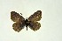  ( - DNAwthGla 008)  @14 [ ] Copyright (2016) Wolfgang Ten Hagen Wolfgang ten Hagen Research Collection