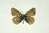  ( - DNAwthGla 008)  @14 [ ] Copyright (2016) Wolfgang Ten Hagen Wolfgang ten Hagen Research Collection