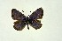  ( - DNAwthGla 009)  @13 [ ] Copyright (2016) Wolfgang Ten Hagen Wolfgang ten Hagen Research Collection