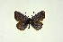  ( - DNAwthGla 010)  @13 [ ] Copyright (2016) Wolfgang Ten Hagen Wolfgang ten Hagen Research Collection