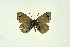  ( - DNAwthGla 010)  @13 [ ] Copyright (2016) Wolfgang Ten Hagen Wolfgang ten Hagen Research Collection