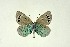  ( - DNAwthGla 029)  @12 [ ] Copyright (2016) Wolfgang Ten Hagen Wolfgang ten Hagen Research Collection