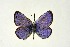  ( - DNAwthGla 030)  @11 [ ] Copyright (2016) Wolfgang Ten Hagen Wolfgang ten Hagen Research Collection
